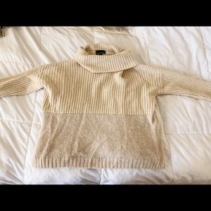 Big turtleneck sweater